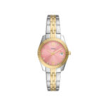 Fossil ES5173